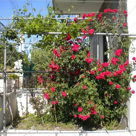 The Pool House Trimiklini